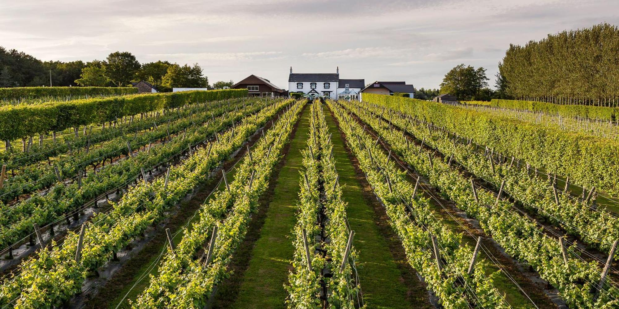 Llanerch Vineyard Hotel Hensol Esterno foto