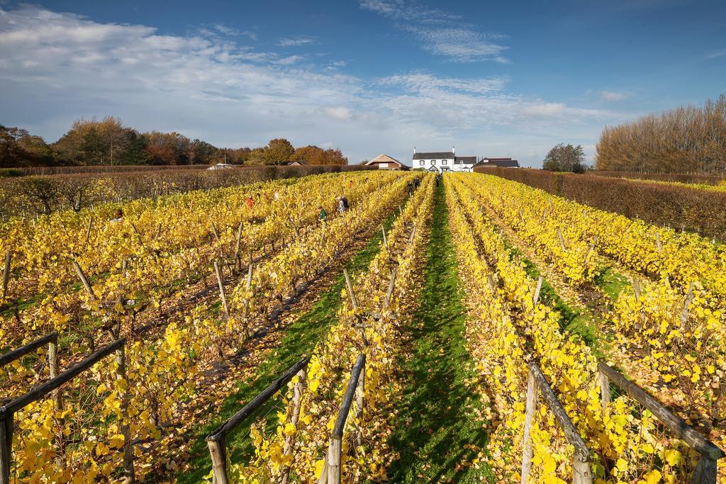 Llanerch Vineyard Hotel Hensol Esterno foto