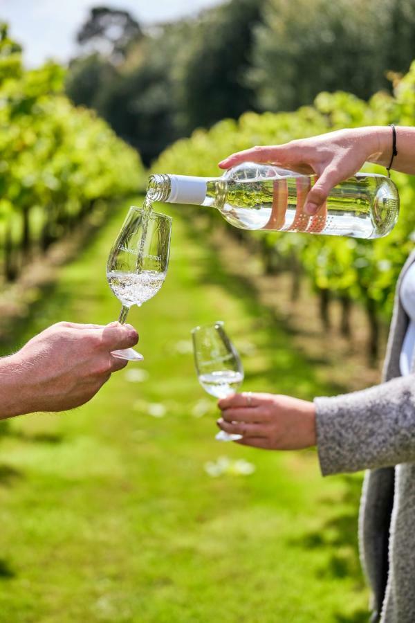 Llanerch Vineyard Hotel Hensol Esterno foto